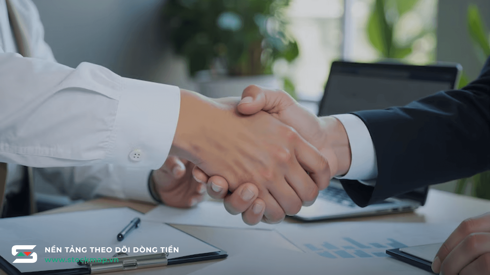 Độ co giãn của cầu theo giá là gì? 